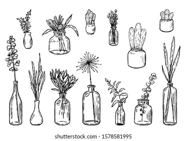 Hand drawn vector illustration. Collection of varied vases, bottles, and jars of flowers and plants. Vintage botanical set. Decorative floral outline elements isolated in white. Details for design.
