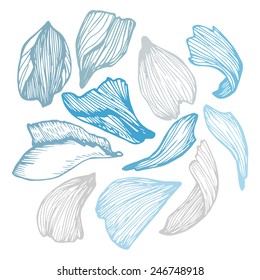 Hand drawn vector illustration - Collection of rose petals. 