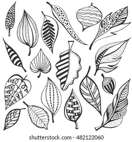 Hand drawn vector illustration with collection of leaves in doodle style. Autumn vintage natural design for greeting card. Sketch  background.