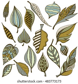 Hand drawn vector illustration with collection of leaves in doodle style. Autumn natural design for greeting card. Sketch  background.