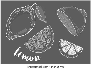 Hand drawn vector illustration - Collections of Lemons. 