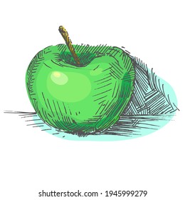 Hand drawn vector illustration of color apple. sketch. Elements in graphic style label, card, sticker, menu, package.