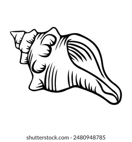 Hand drawn Vector illustration conch shell line art