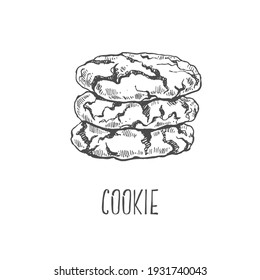 Hand drawn vector illustration of cookies, biscuits. Isolated pastry images for design, packaging, menu