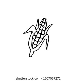 Ilustración vectorial dibujada a mano del maíz. Elemento para sus tarjetas, carteles, pegatinas y diseño estacional.