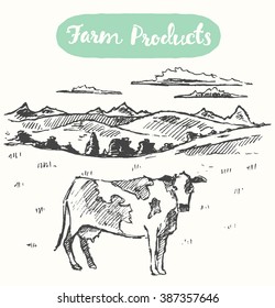 Hand drawn vector illustration of a cow on a meadow, farm fresh products, sketch