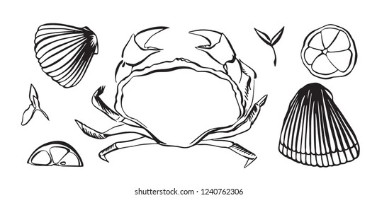 Hand drawn vector illustration of crab as seafood. Shellfish with lemon and herbs. Black isolated on white background.