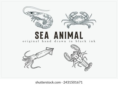 hand drawn vector illustration of crab, shrimp, squid, lobster