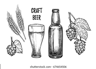 Ilustración vectorial dibujada a mano - Cerveza artesanal (malta, lúpulo, vidrio, botella). Octoberfest. Bebidas alcohólicas. Diseñar elementos en estilo de grabado. Perfecto para invitaciones, tarjetas de felicitación, carteles, impresiones