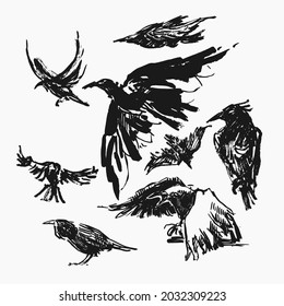 Hand drawn vector illustration with crow and raven. Graphic vintage design collection.