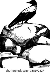 Hand drawn vector illustration with crow on stone