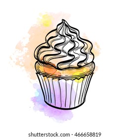 Hand drawn vector illustration of cupcake. Watercolor background. Isolated on white. 
