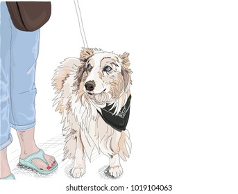 Hand drawn vector illustration. A cute dog looks up with a human, questioning expression, to her owner. Shepherd, Collie mix. Isolated on a white background.