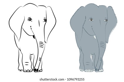 Hand drawn vector illustration with a cute baby elephant celebrating new birth - isolated on white background