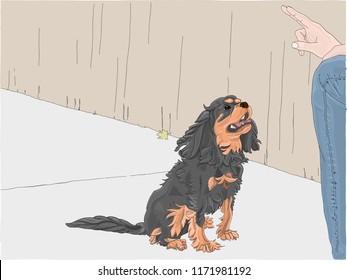 Hand drawn vector illustration. Cute Cavalier King Charles Spaniel learns to sit and stay outdoors on a sidewalk.