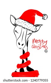 Hand drawn vector illustration with a cute giraffe celebrating a merry Christmas - isolated on white background for print cards and web banner