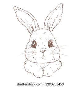 Hand drawn vector illustration of cute bunny