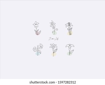 Hand drawn vector illustration of cute lily, simple line-drawing lily,Beautiful flowers,Flowers with buds,Flowers with leaves