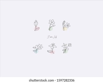 Hand drawn vector illustration of cute lily, simple line-drawing lily,Beautiful flowers,Flowers with buds,Flowers with leaves