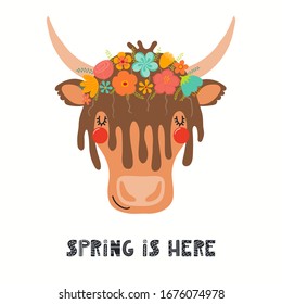 Hand drawn vector illustration of a cute yak face in a flower crown, with lettering quote Spring Is Here. Isolated objects on white. Scandinavian style flat design. Concept for children print.