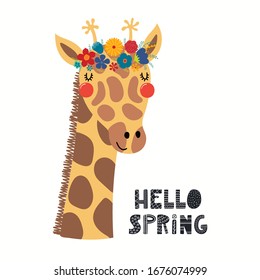 Hand drawn vector illustration of a cute giraffe face in a flower crown, with lettering quote Hello Spring. Isolated objects on white. Scandinavian style flat design. Concept for children print.