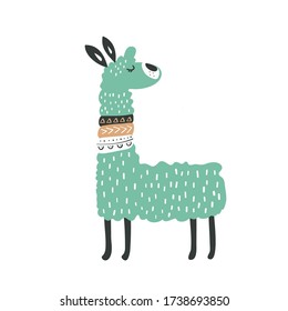 Hand drawn vector illustration of a cute funny llama and cacti. Isolated objects on white. Scandinavian style flat design. Concept for card, invite.