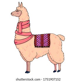 
Hand drawn vector illustration of a cute funny cream llama, in a scarf with a bright blanket  isolated on white background