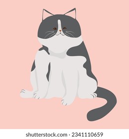 Hand drawn vector illustration cute bicolor cat sitting pop style design.