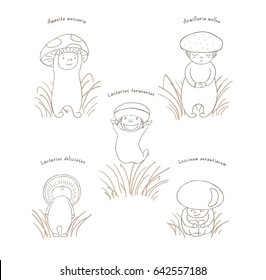 Hand drawn vector illustration of cute mushrooms with Latin names: fly amanita, red capped scaber stalk, honey fungus, woolly milk cap, saffron milk cap. Unfilled outline. Design concept for children.