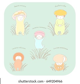 Hand drawn vector illustration of cute mushrooms with Latin names: fly amanita, red capped scaber stalk, honey fungus, woolly milk cap, saffron milk cap. Isolated objects. Design concept for children.