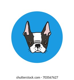 Hand drawn vector illustration of cute boston terrier dog. Cartoon black and white colored puppy isolated portrait. Could be used as logo, icon, book picture.
