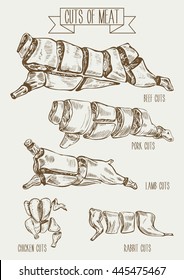 Hand drawn vector illustration cuts of meat for restaurant, organic product shop or market. Beef, lamb, pork, rabbit and chicken cutting scheme in vintage sketch style.