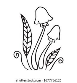 Hand drawn vector illustration of decorative mushroom. Black outlines isolated on white. Doodle style. Image for coloring book design, seasonal cards, book and other printed materials.