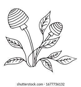 Dibujo manual vectorial de setas decorativas. Bordes negros aislados en blanco. Estilo Doodle. Imagen para colorear el diseño de libros, tarjetas de temporada, libros y otros materiales impresos.