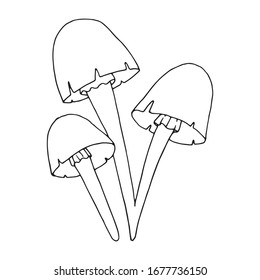 Hand drawn vector illustration of decorative mushroom. Black outlines isolated on white. Doodle style. Image for coloring book design, seasonal cards, book and other printed materials.