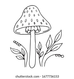 Hand drawn vector illustration of decorative mushroom. Black outlines isolated on white. Doodle style. Image for coloring book design, seasonal cards, book and other printed materials.