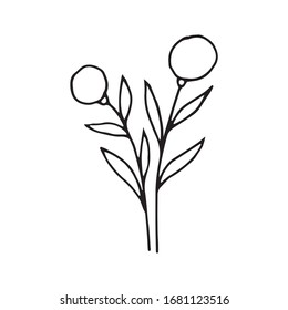 Hand drawn vector illustration of decorative flowers. Black outlines isolated on white. Doodle style. Image for coloring book design, seasonal cards and other printed materials.