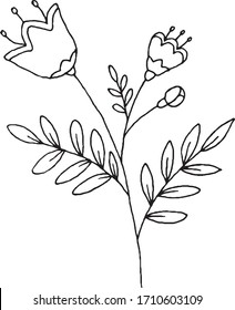 Hand drawn vector illustration of decorative flowers. Black outlines isolated on white background. Doodle style. Image for coloring book design, seasonal cards decoration and printed materials.