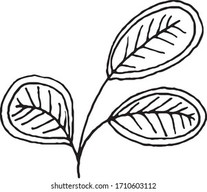Hand drawn vector illustration of decorative flowers. Black outlines isolated on white background. Doodle style. Image for coloring book design, seasonal cards decoration and printed materials.