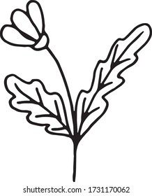 Dibujo manual vectorial de flores decorativas. Bordes negros aislados sobre fondo blanco. Estilo Doodle. Imagen para el diseño de libros de color, decoración de tarjetas de temporada y materiales impresos.