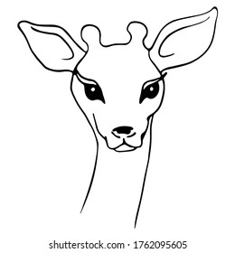 Hand drawn vector illustration of deer. Black and white art isolated on white.