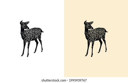 Hand drawn vector illustration of deer