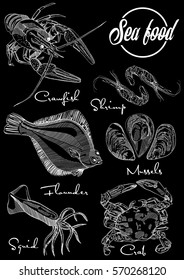 Hand drawn, vector illustration, design for a seafood restaurant menu. 
