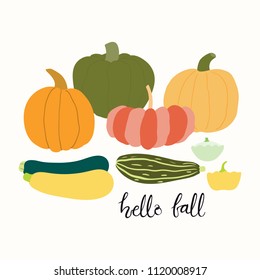 Hand drawn vector illustration of different squashes, pumpkins, with lettering quote Hello fall. Isolated objects on white background. Flat style design. Concept for gardening, autumn harvest.