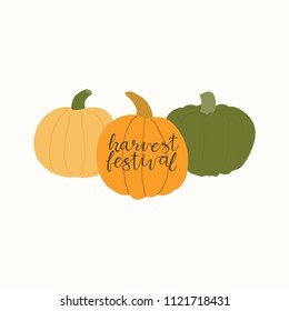 Hand drawn vector illustration of a different pumpkins, with lettering quote Harvest festival. Isolated objects on white background. Flat style design. Concept for gardening, autumn harvest.