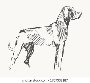 犬の絵 のイラスト素材 画像 ベクター画像 Shutterstock