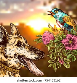 Perro de Ilustración vectorial dibujado a mano con pájaro sobre fondo borroso de la puesta del sol. Dibujo estilo boceto. Símbolo del año nuevo 2018. Uso para las invitaciones, los volantes, las postales, las cubiertas etc del smartphone