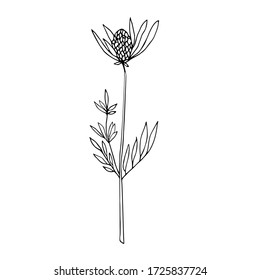Hand drawn vector illustration. Doodle style. Minimalism art, linear ink pen drawing. Single object, isolated black on white background.