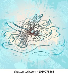 Hand drawn vector illustration. Dragonfly floating on the water on a maple leaf on a grunge background.