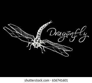 Hand drawn vector illustration of a dragonfly isolated sketch style. Flying dragonfly with transparent wings. Insect white on a black background.
